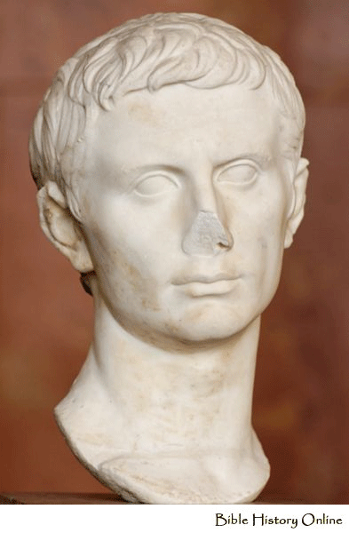 Marble Bust of Augustus
