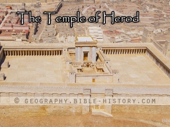 What were the Dimensions of the Platform of the Temple? post image