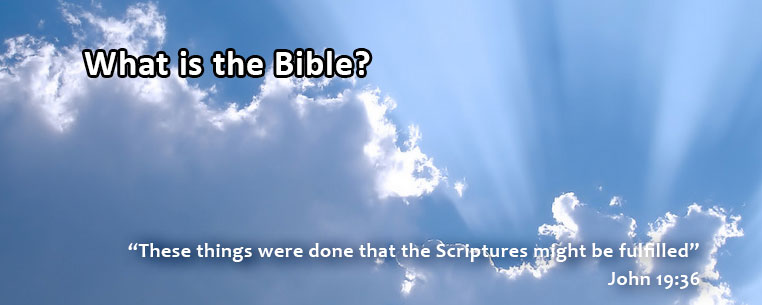 What is the Bible?... hero image