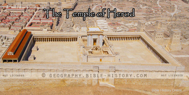 What were the Dimensions of the Platform of the Temple?... hero image