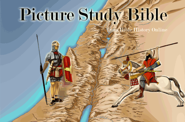 Free Bible Online Picture Study Bible
